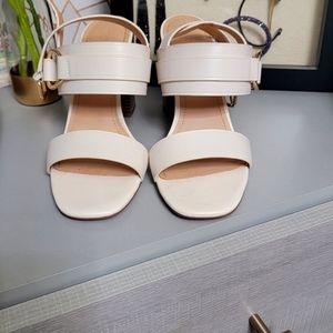 Coach shoes